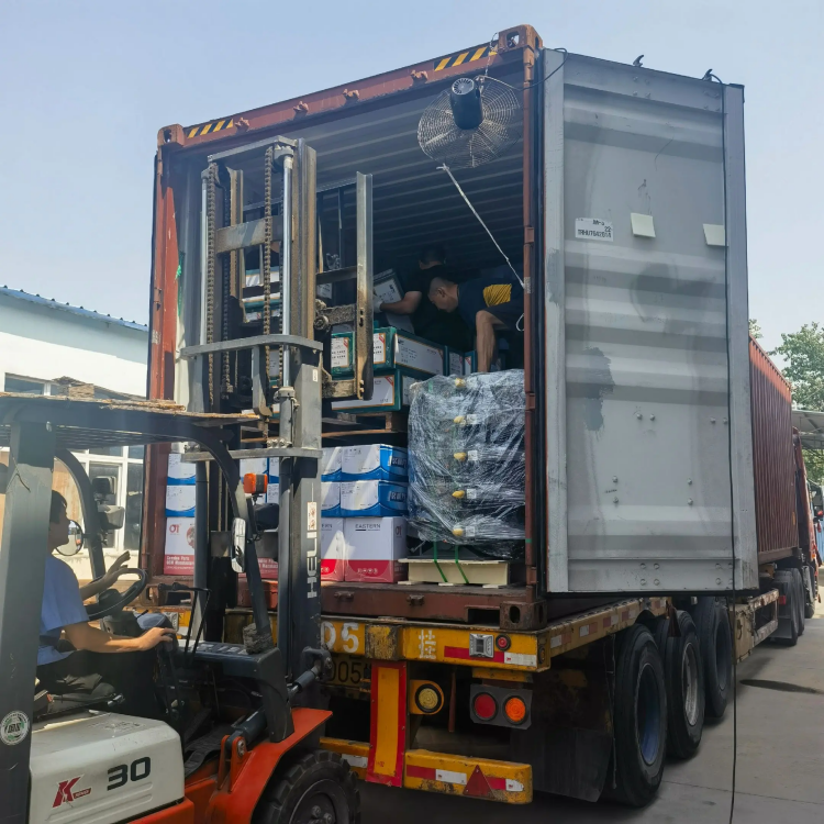 Skyond Heavy Truck hissələri - Asan, hər yerə etibarlı sürün!